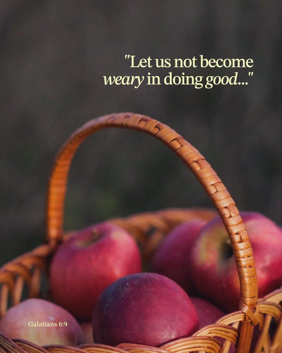 Guideposts's tweet image. "Let us not become weary in doing good…” 💛 Keep going—your kindness and faith matter more than you know. Get into the fall spirit here: guideposts.org/shop/product/a…
#Galatians69 #Faith #Encouragement #Guideposts