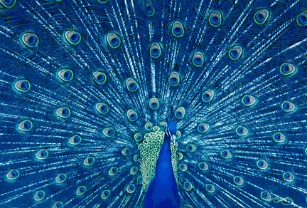 CommanderH8's tweet image. "I am the being of beings and all the beings.
I am that who satisfied all the worlds in my creations.
I am God of Gods and all of the throne.
And all of heavens are of my inventions."
- Zeus