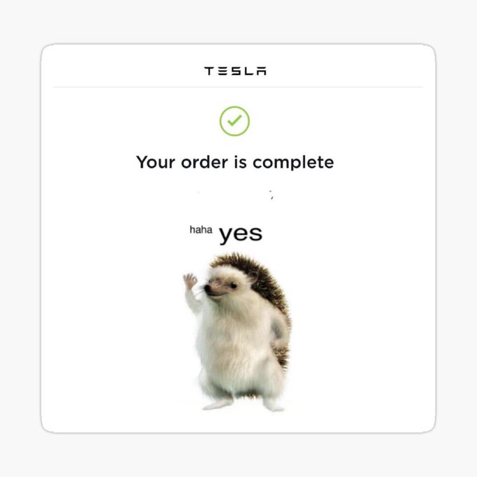 hahayesonsol's tweet image. The message is clear.

The future runs on belief. ⚡️

Let’s see those Teslas in the comments fam. 🦔

HahaYes!