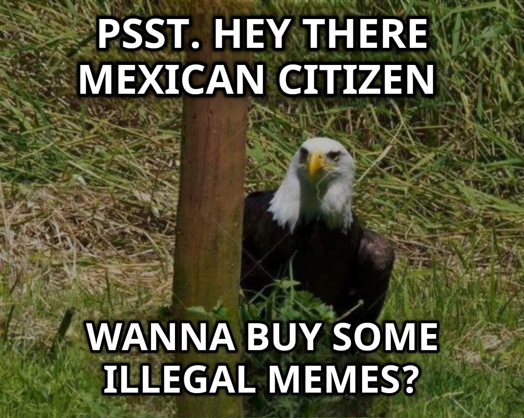 <a href="/ClownWorld_/">Clown World ™ 🤡</a> Psst, hey there