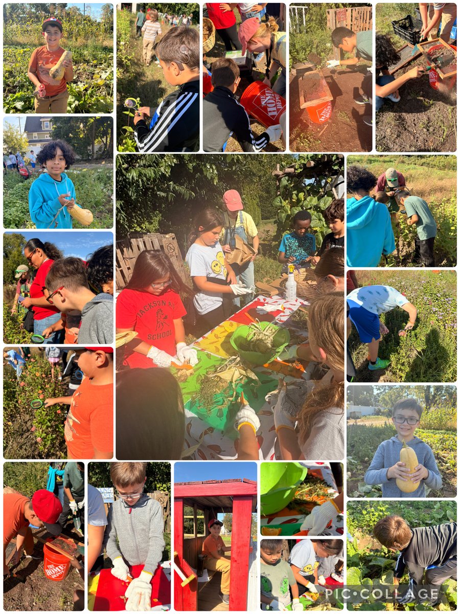 Gabby Sferrazza tweet media