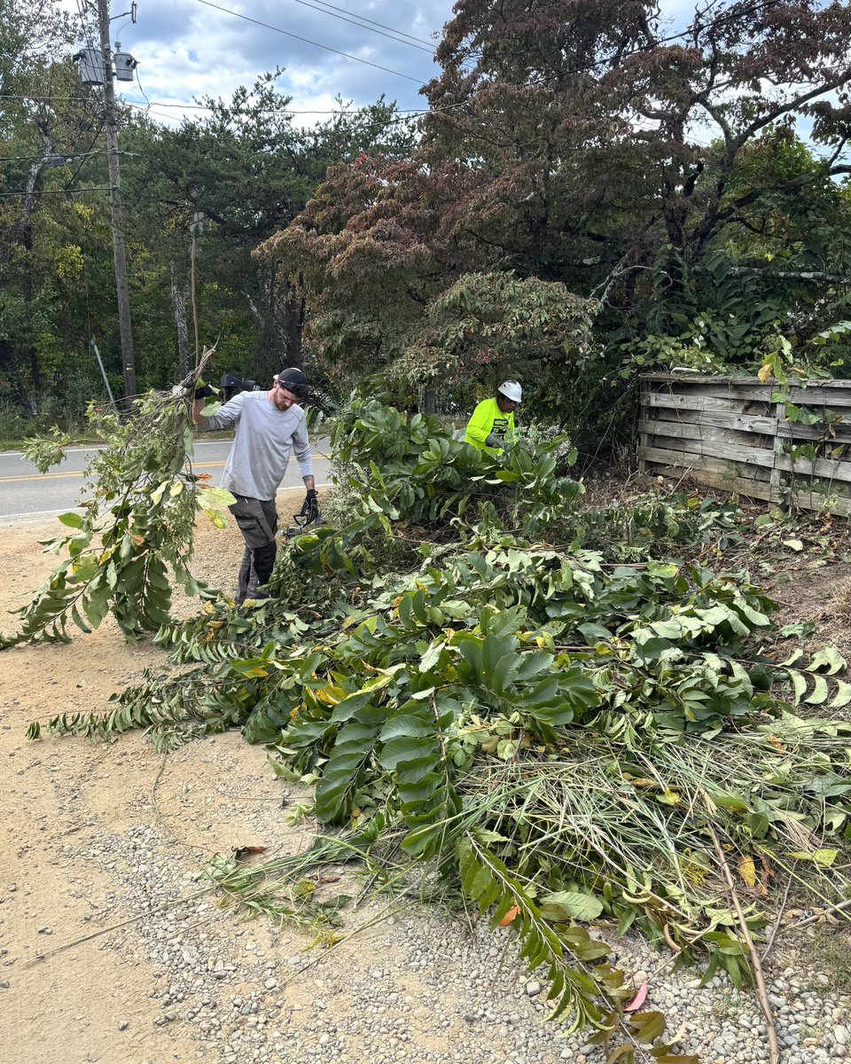 Resilience Force tweet media