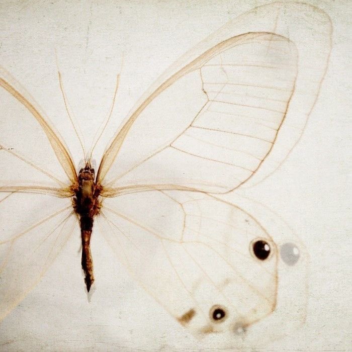 stasia is bittersweet ʚɞ 𑣿 tweet media