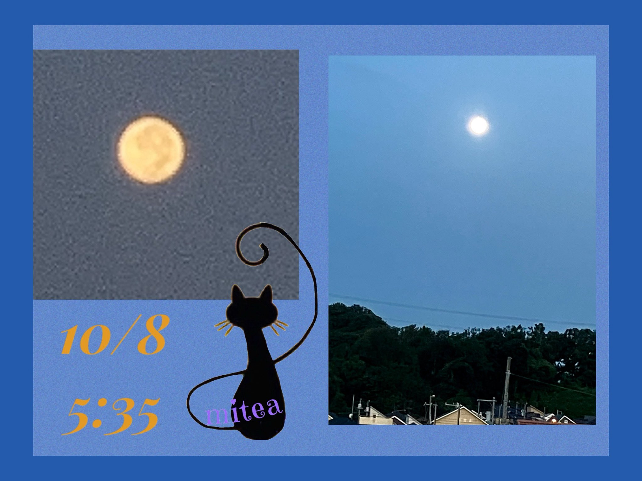 mitea〔milktea〕 on X: 