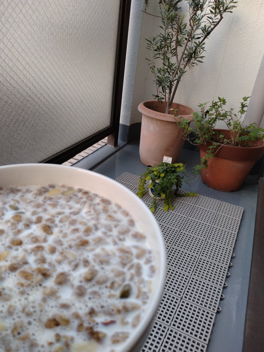 toshio△ (@xm7ubP967A69429) / Posts and Replies / X