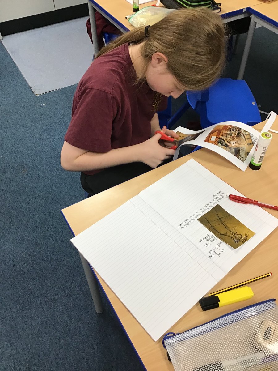 AVPA-Year 6 tweet media