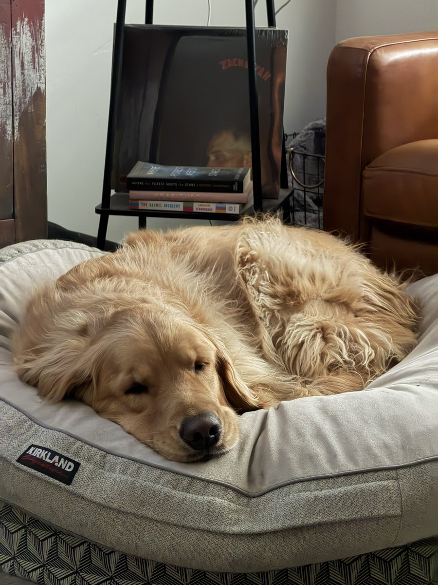 Need me some more pup time