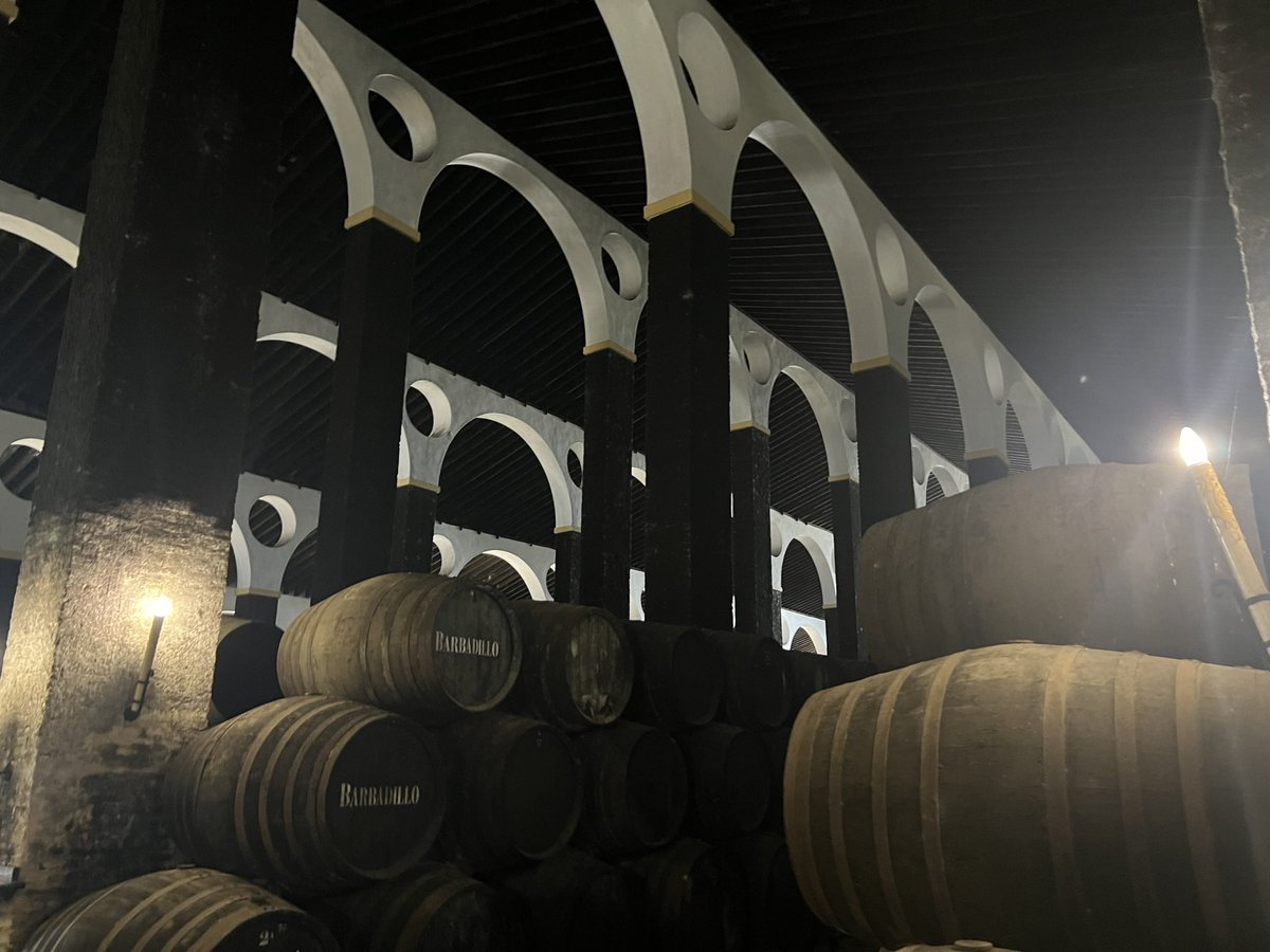 Joseluis tweet media