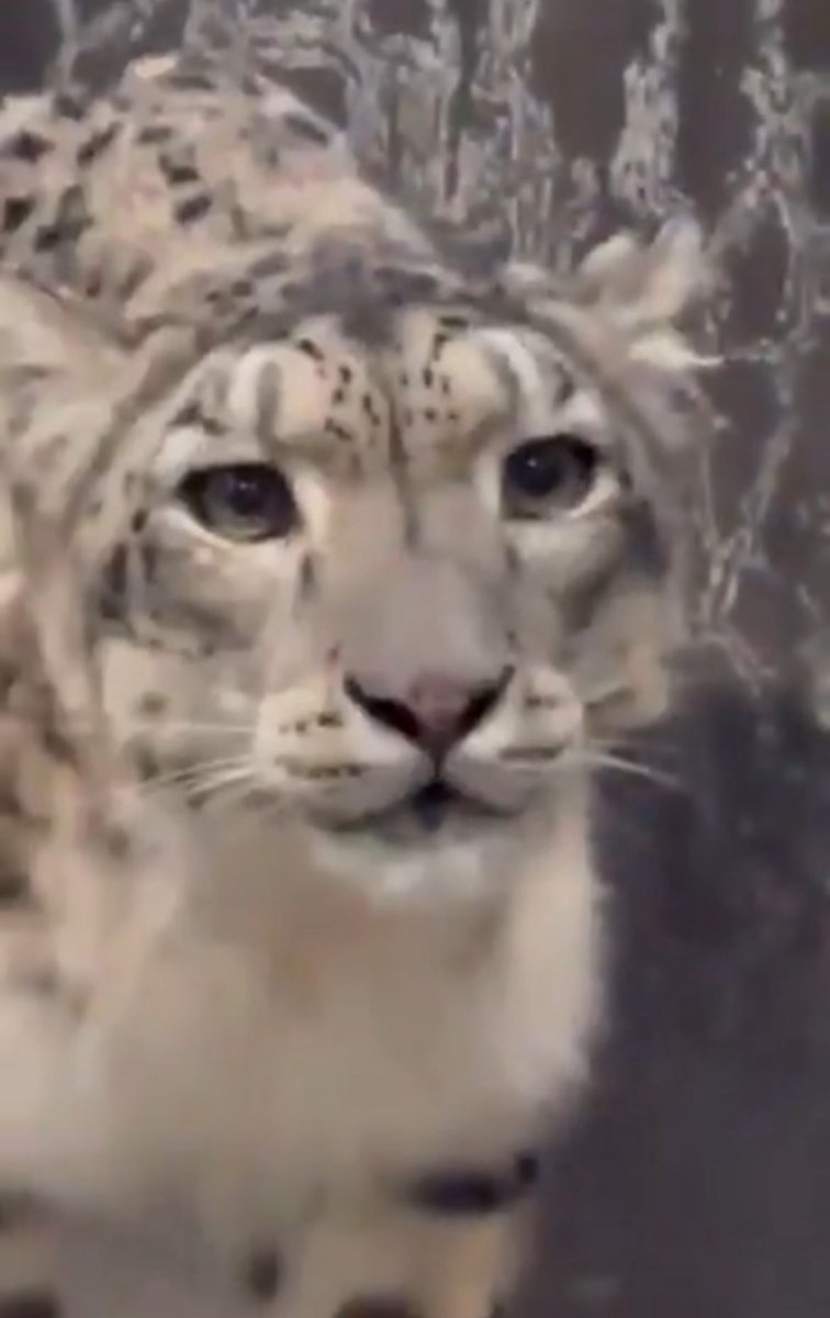 So the woman chose what she wanted to wear and instead of just either admiring or ignoring..

We take it a step further

Add to increasingly polluting a city (using AI)

To add more CLOTHES!??? On her?!