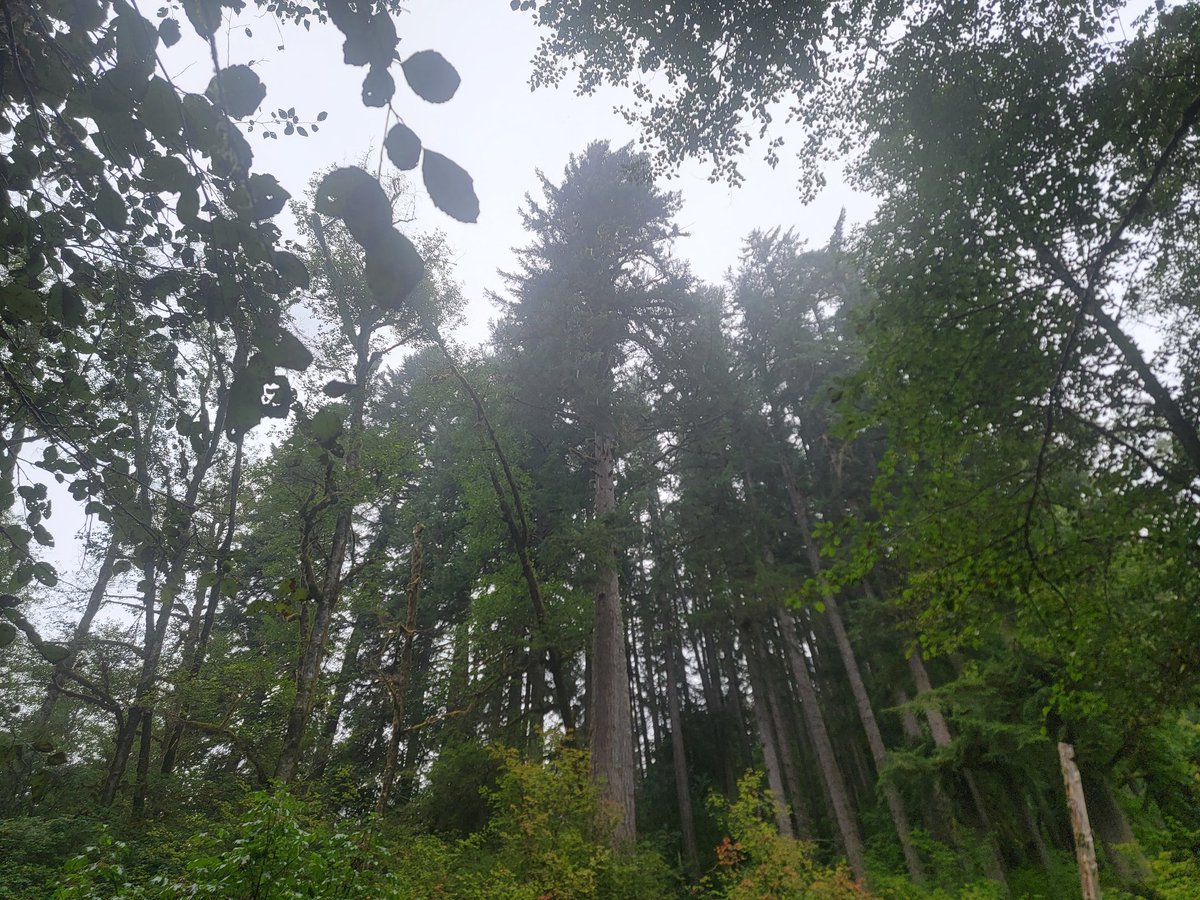 Introduction_of_Coffee tweet media