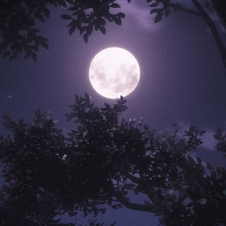 °✵.｡.✰ 𝕊𝕠𝕜a𝕒𝕚 ✰.｡.✵° tweet media