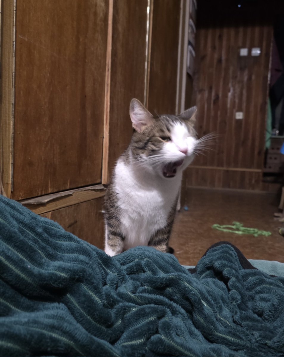 Vеееery tasty evening treats😋