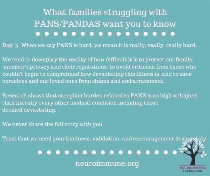 CharmingAngelCo's tweet image. “When we say PANS is hard we mean it is really, really, really hard” #PansPandasAwarenessDay