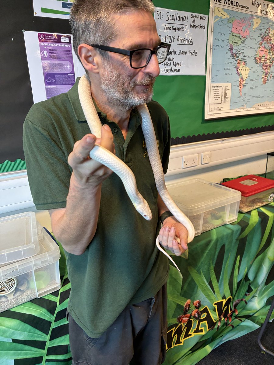 Forrester High School - Wellbeing Hub tweet media