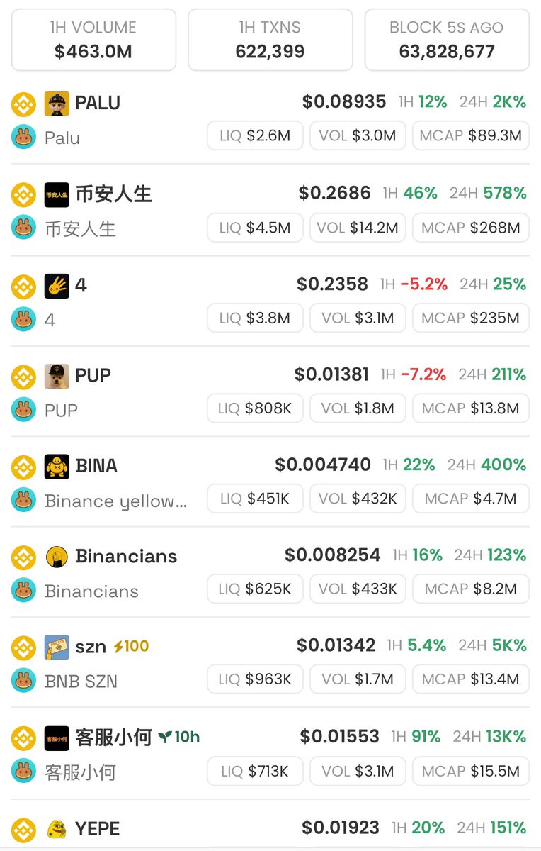 PALU와 币安人生 같은 고거래량 토큰을 보여주는 BNB Chain 상위 밈 코인 리더보드