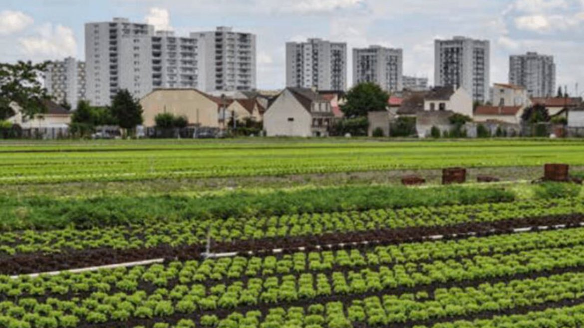 Bibligourmandes's tweet photo. [événement] Casse-croûte à la Ferme autour du #Papilles Ile-de-France !
Le 18 octobre 2025, Olivier Darné accueille les @Bibligourmandes 🍴 à la ferme urbaine de Saint-Denis. 
Pour participer : https://t.co/wLD4uasKhM
#BibliothèquesGourmandes #Papilles #Patrimoine #Gastronomie https://t.co/uT7ntn9esC