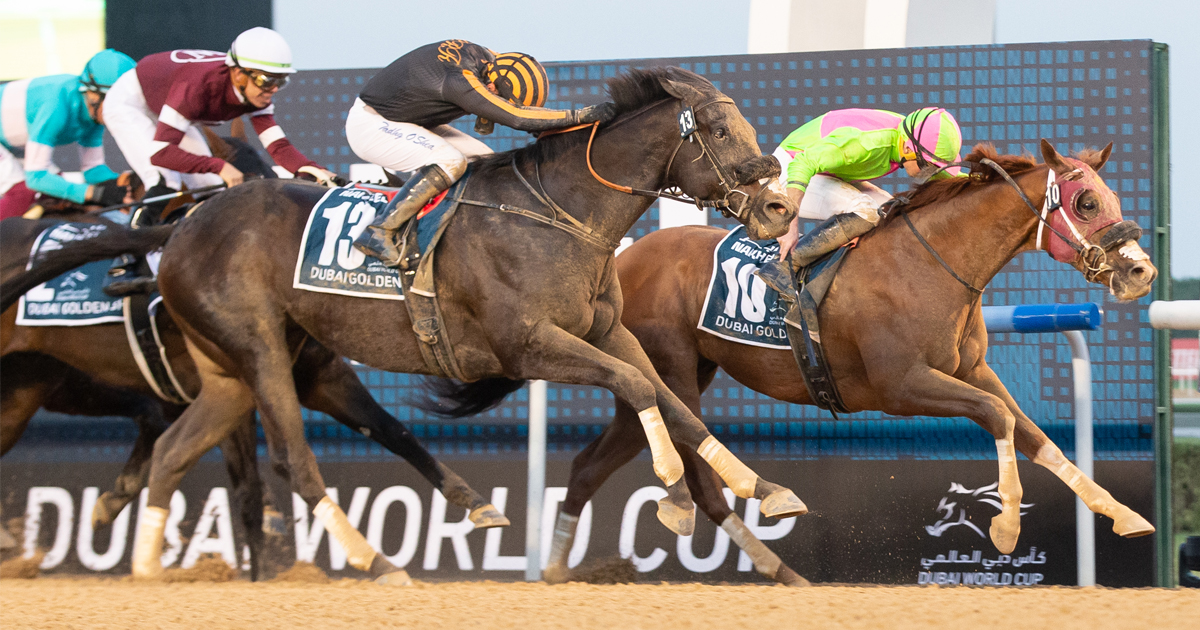 Kentucky Performance Products tweet media