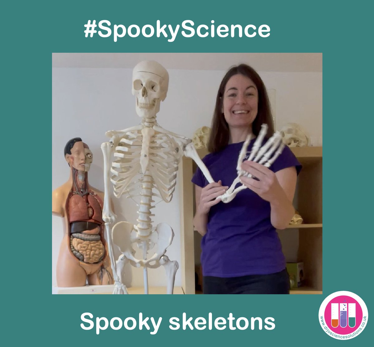 DrJoScience's tweet image. Whether you celebrate #Halloween #Samhain or not, it&apos;s always a good excuse to get some #SpookyScience in this autumn!

FREE PDF activity pack available at buymeacoffee.com/drjoscience/e/…
[and at bio.link/DrJoScience]

#ScienceIsEverywhere #BeCurious #DrJoScience