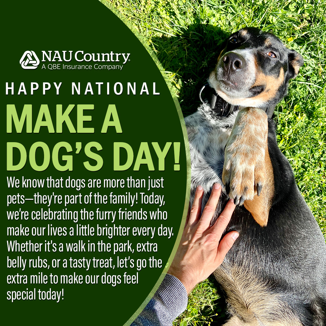naucountry's tweet photo. Shout-out to all the hard-working farm dogs and our loyal companions who brighten every day.
#NationalMakeADogsDay #DogsOfNAUCountry #FurryFriend https://t.co/WWGrMAo45b