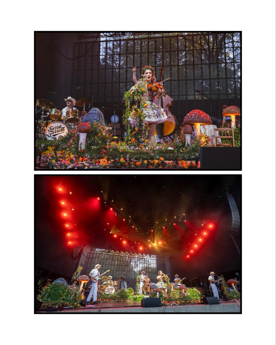 Sierra Ferrell tweet media