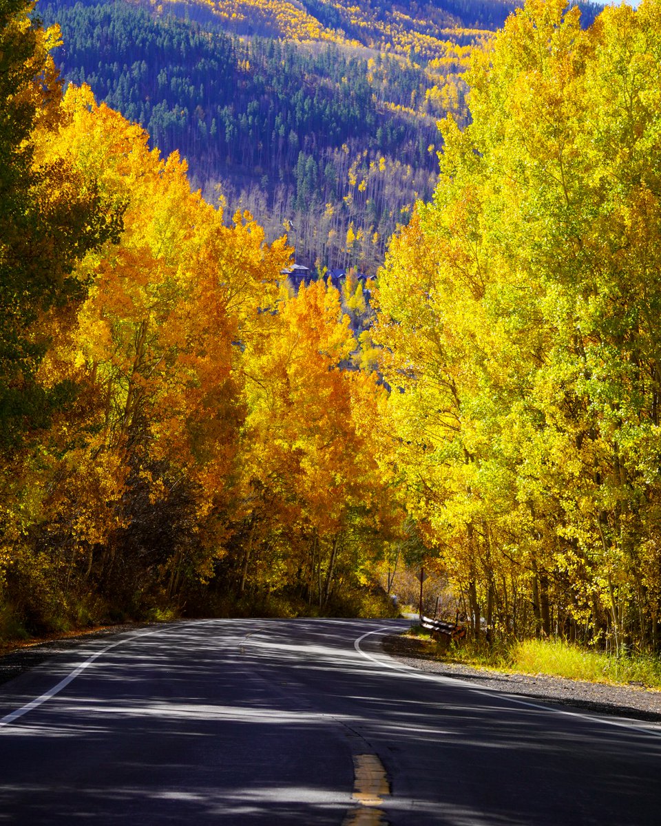 Vail Government tweet media