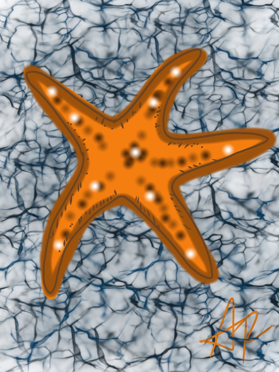 sunflowersmr's tweet photo. inktober day 7: starfish ✨

#Inktober #Inktober2025 #starfish #digitalart https://t.co/BBBLds2rrz