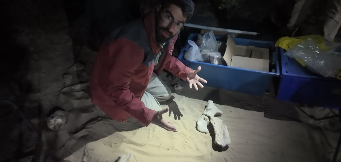 ‼️IMPORTANTE 

— El stream de paleontología de la tarde, SOLO POR HOY,  arranca a las 19hs y será DESDE EL CAMPAMENTO

Van a mostrar los huesos que encontraron hasta ahora y responder preguntas en vivo  - algo así👇