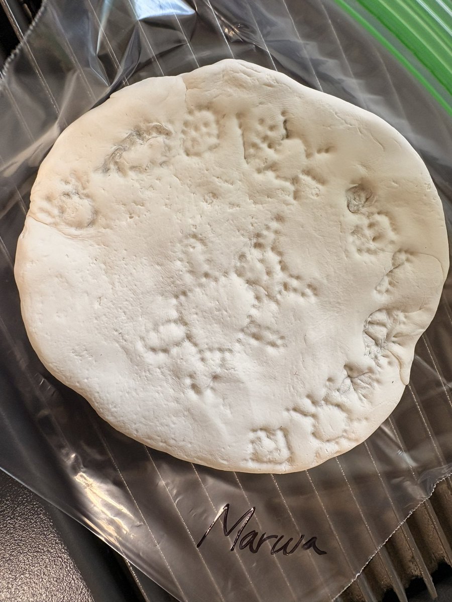 Hannah Scataglia tweet media