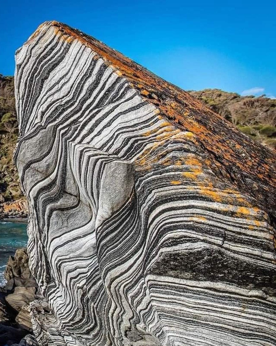 This metamorphic rock formed ~600 million years ago on southwestern Australia's coast during the Precambrian era, amid continent formation and tectonic shifts. Composed of quartz, feldspar, and mica bands, its zebra-like patterns emerged from deep heat and pressure, twisting