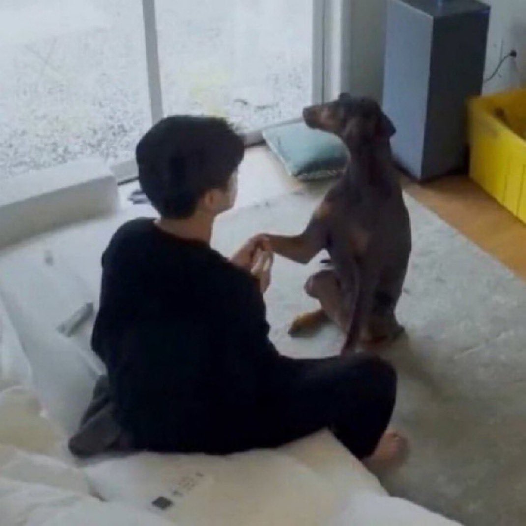 koogifs's tweet photo. i’m going to hold your paw when i say this https://t.co/nJegEX9Ebu