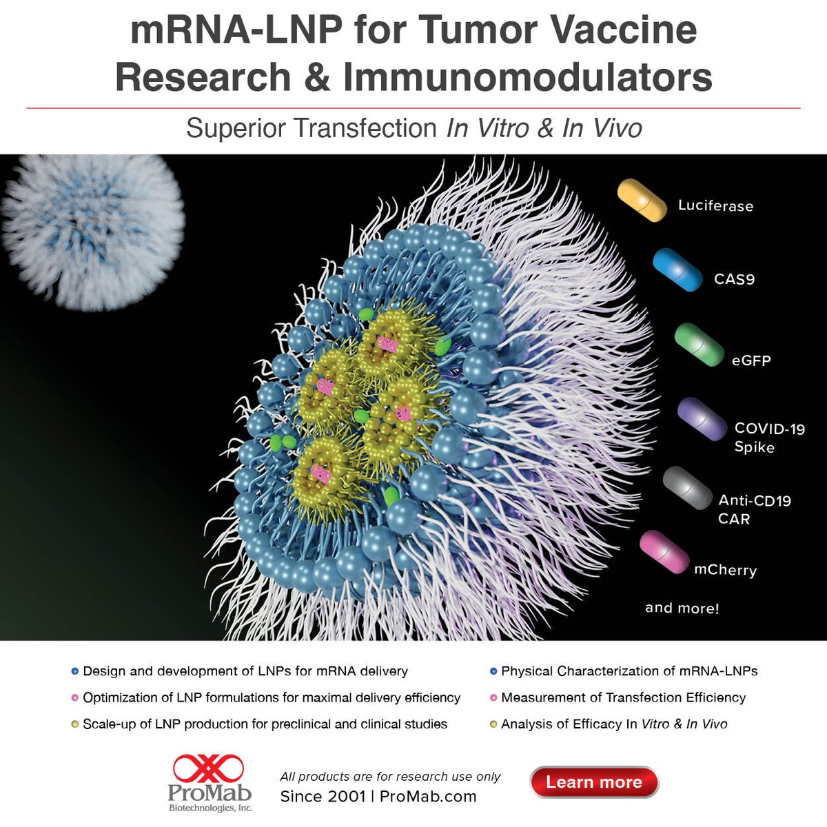 ProMabBiotech's tweet image. 🚀 💥 ✅ Breakthrough mRNA-LNP delivery for cancer vaccine &amp;amp; immunotherapy research. Achieve superior transfection in vitro &amp;amp; in vivo with ProMab’s custom LNP design, optimization, and scalable production. 👉 🔗  Learn more: na2.hubs.ly/H01smRr0 #mRNA-LNP #GMP #BioTech #mRNA