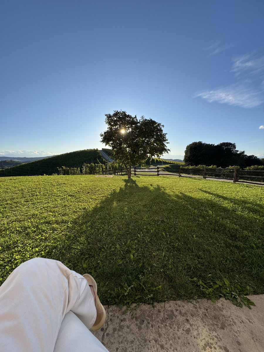kevosu3's tweet image. Today I walked 5 miles through the best winery in the world