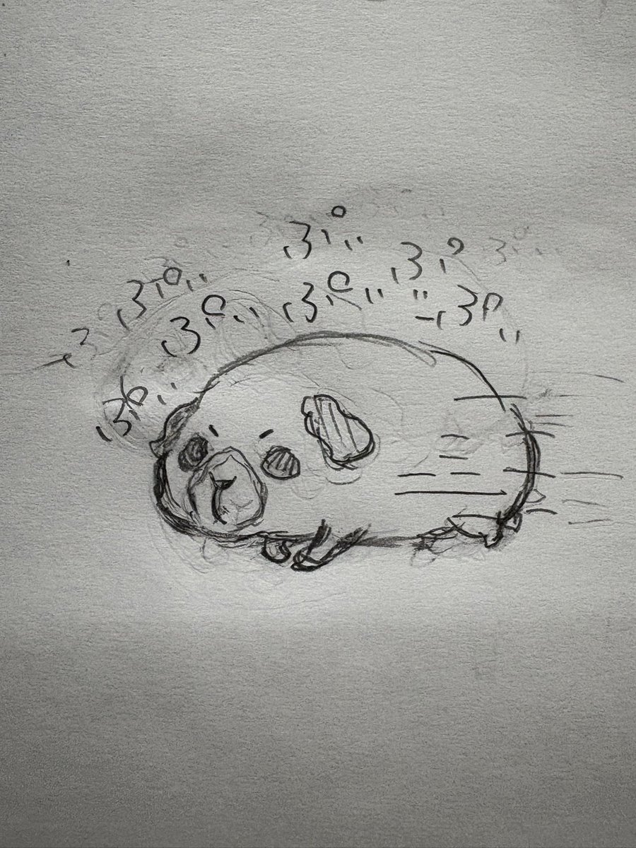 資料提供いただいたのに😭さばもに難しいいいので一旦モル