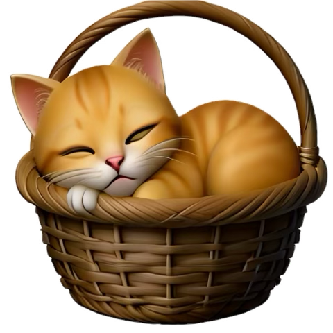 Arrows Meet tweet media