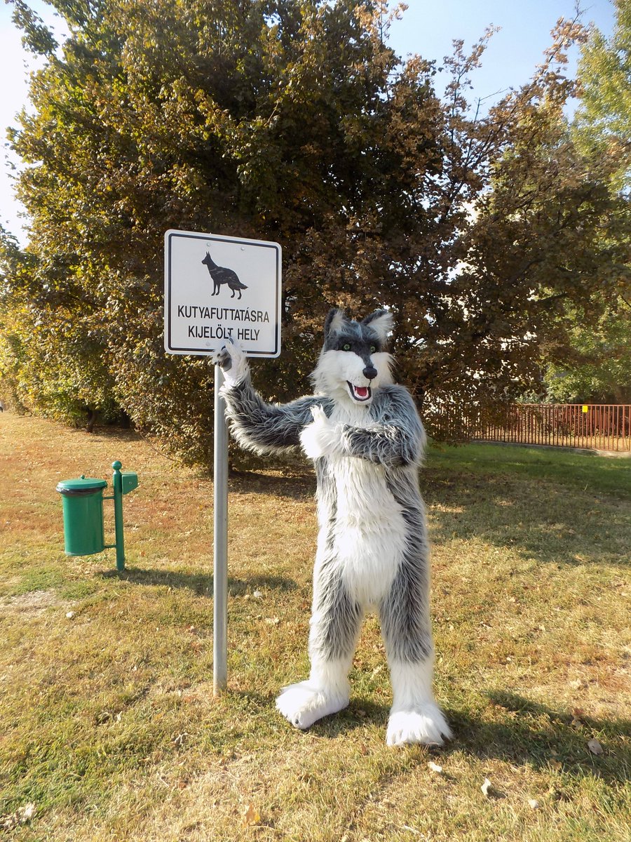 loopyfarkas's tweet photo. Még szerencse, hogy nem vagyok kutya! 😆🐺
It's a good thing I'm not a dog! (designated dog running park) 😆
#miskolc #loopy #furry #fursuit https://t.co/eWQLM6LCCh