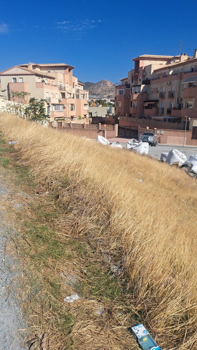 Parece broma pero aún permanecen los sacos de caucho del césped del ‘Hermanos Callejón’ junto a viviendas del Cerrillo y Balcón de San Fernando 🆘Pepi Santiago alerta del peligro que supone para los vecinos este residuo tóxico y exige a la alcaldesa su retirada inmediata #Motril