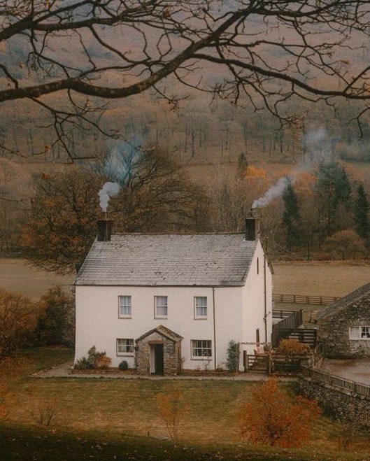 visualtherapy0's tweet image. autumn in New England🍁