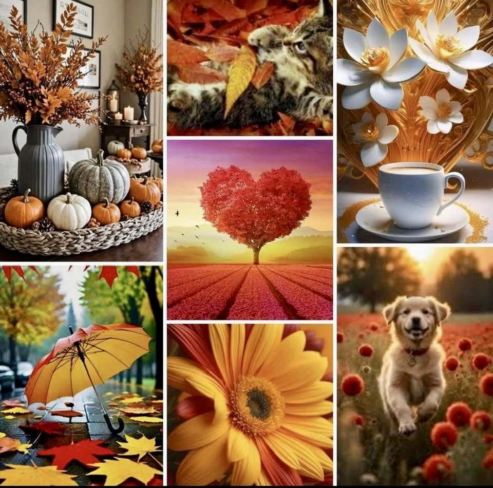 LejmanMargie's tweet image. Happy Tuesday 🍂❤️🌻🧡🐾🍁
#tuesdaythings #fall