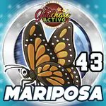 Feliz tarde
Aca nuestros aciertos hasta esta hora. 12:57m
Loto activo y Granjita
00 Ballena Loto. Especiallllllllll
Guacharo Activo
01 Carnero Especialllllll
43 Mariposa fijaaaaaaaaa
Vamos muy pero muy bien
+584127459446
Jason el insuperable de los animalitos