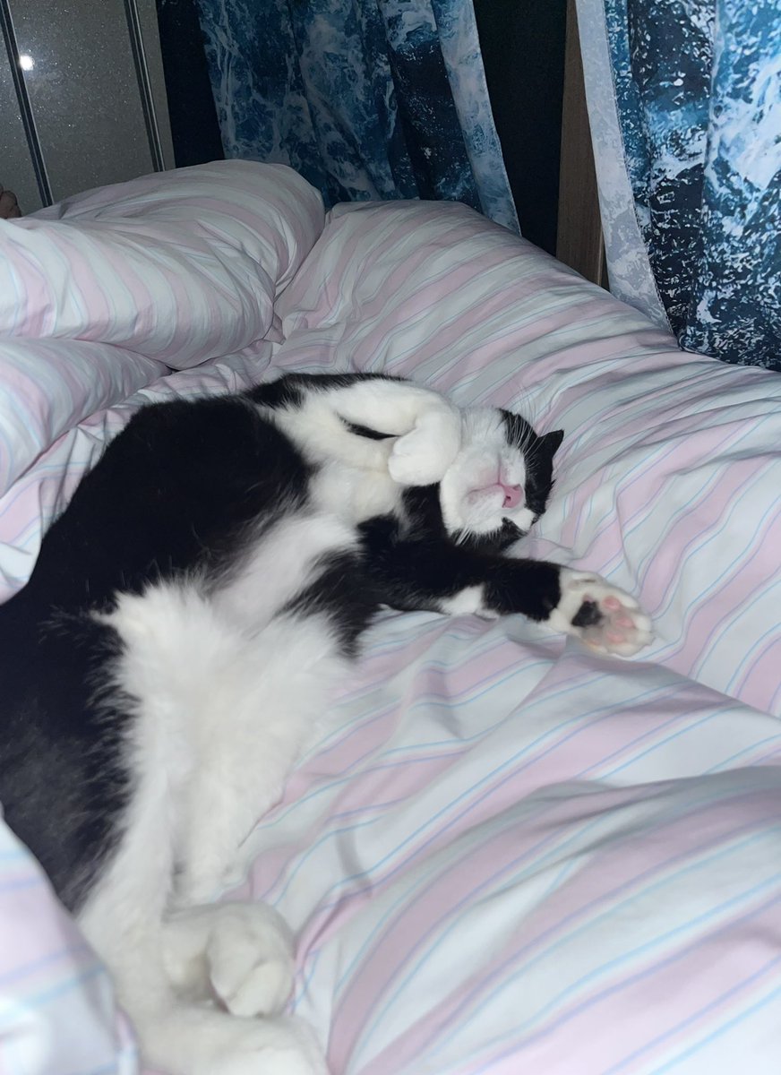 뽀뽀 어떻게 참죠?