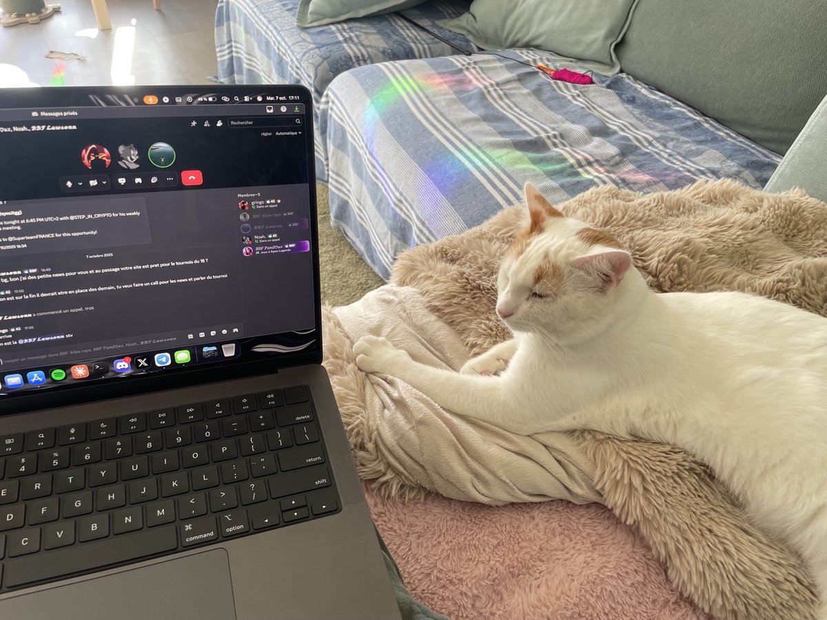ft_gring0's tweet image. |Day 12🐈|

One more day, a few more calls.
Be ready for the first @syncitgg event announcement very soon.

Quick hint: it will be on @PlayApex 👀