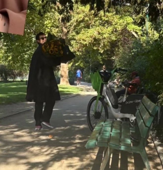 Harry carregando girassóis por Paris 🌻