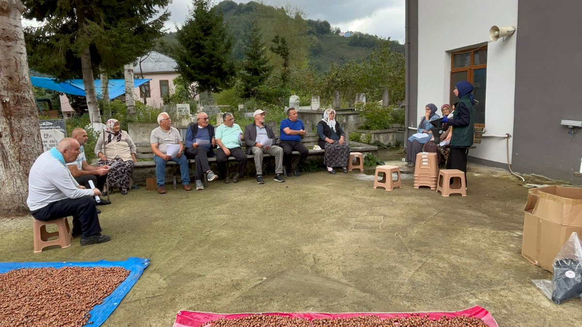 📢 Giresun'da Kahverengi Kokarca ile Yoğun Mücadele 

03-04 Ekim tarihlerinde yaşanan ani sıcaklık artışıyla birlikte istilacı kahverengi kokarca (Halyomorpha halys) zararlısının kışlak alanlara yönelimi arttı.

Tarım ve Orman Bakanlığı’nın direktifleri, Valliğimizin