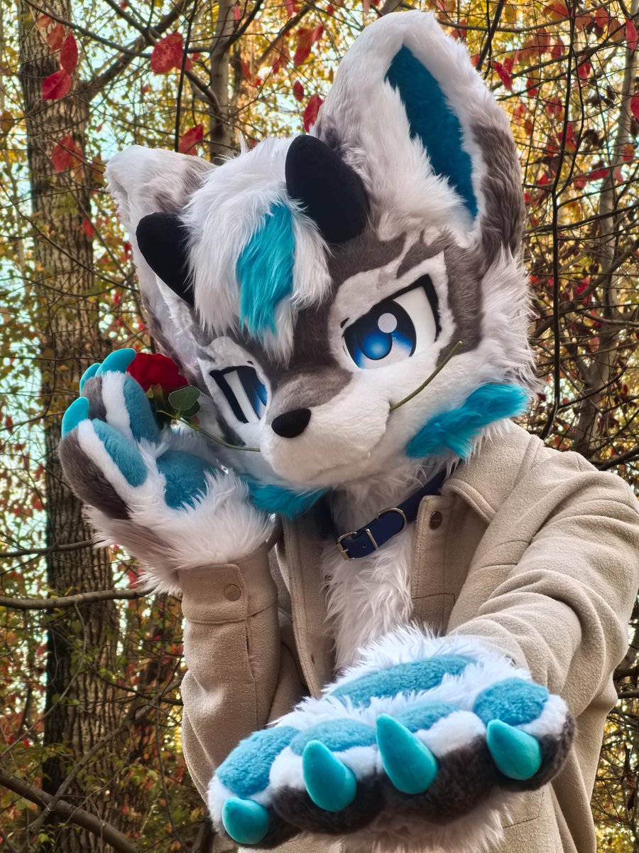 枯木逢春 自由的风吹动木讷的树.#furry #furmony