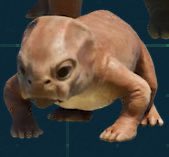 JurassicAddict's tweet image. “I am pibble. Wash mah belleh. CLEAN MAH BEHLLY”