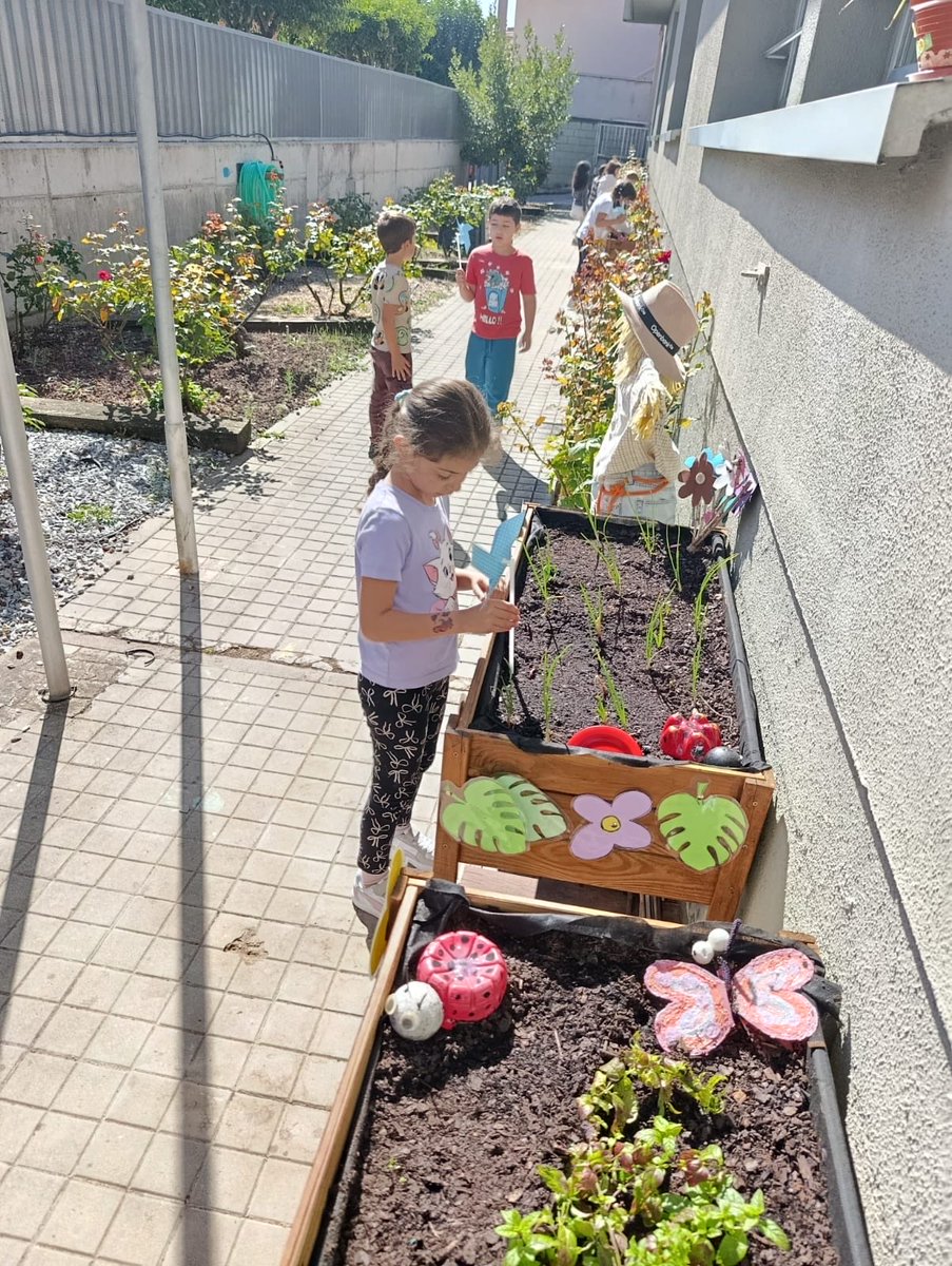 CEIPELVIRA's tweet image. Poniendo al día las mesas de cultivo de nuestro huerto escolar. #yosoydelelvira #megustamicole #puedescontarconmigo