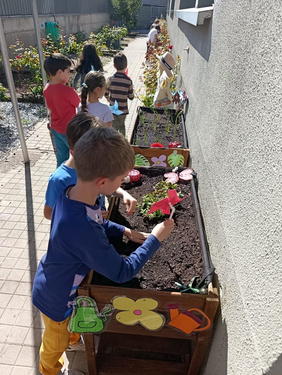 CEIPELVIRA's tweet image. Poniendo al día las mesas de cultivo de nuestro huerto escolar. #yosoydelelvira #megustamicole #puedescontarconmigo