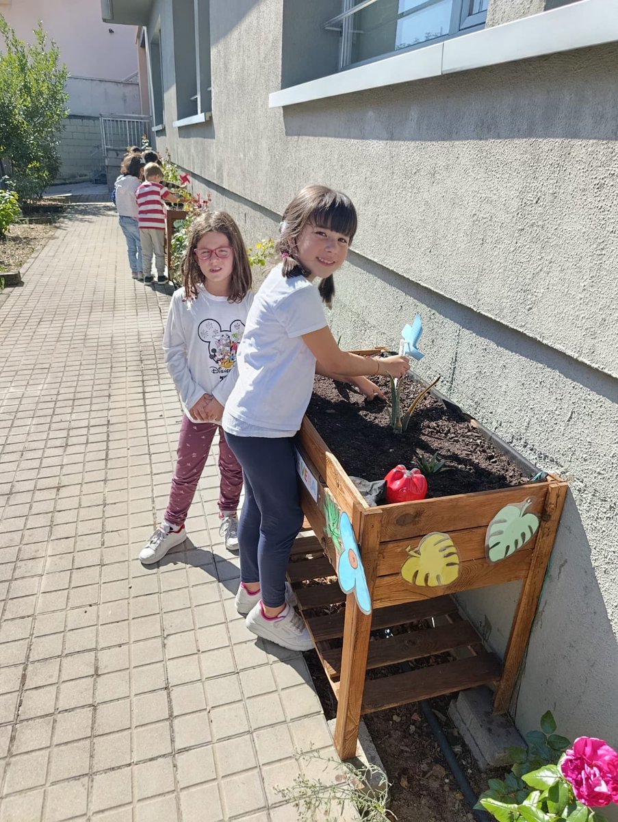 CEIPELVIRA's tweet image. Poniendo al día las mesas de cultivo de nuestro huerto escolar. #yosoydelelvira #megustamicole #puedescontarconmigo