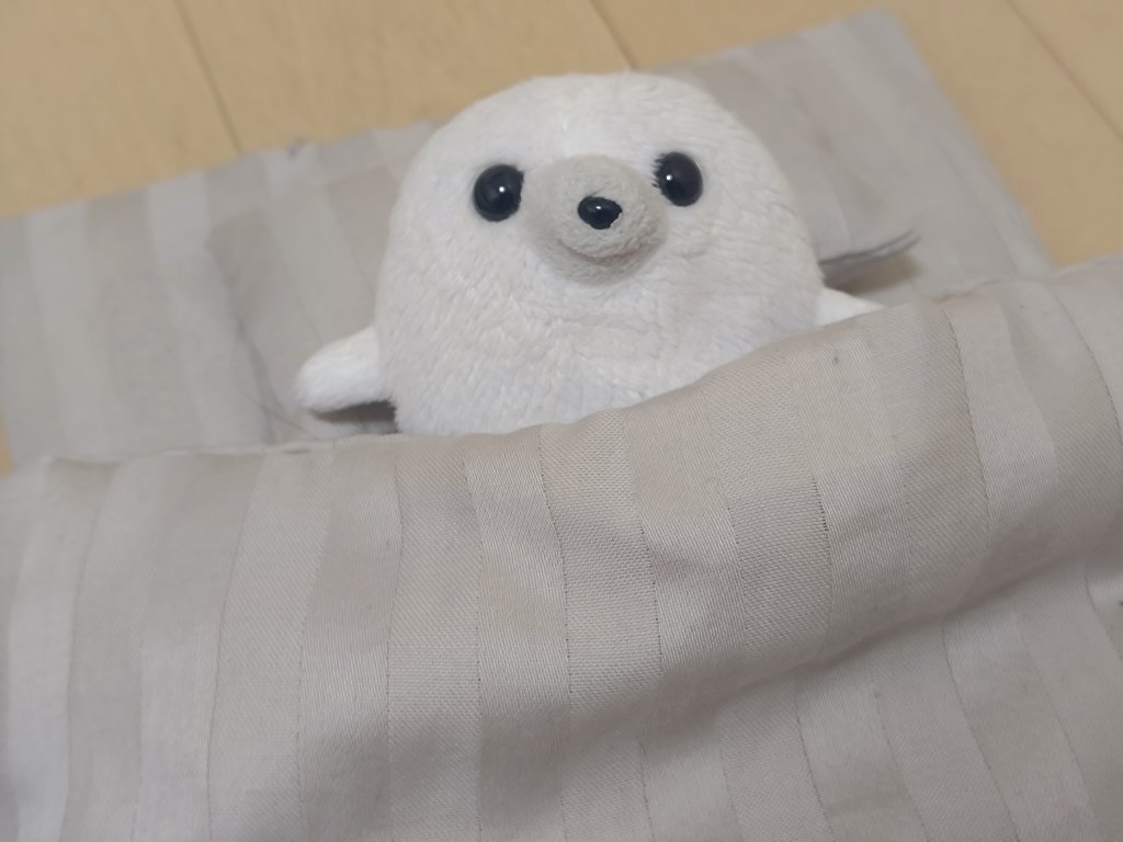 おやすみ…🌙