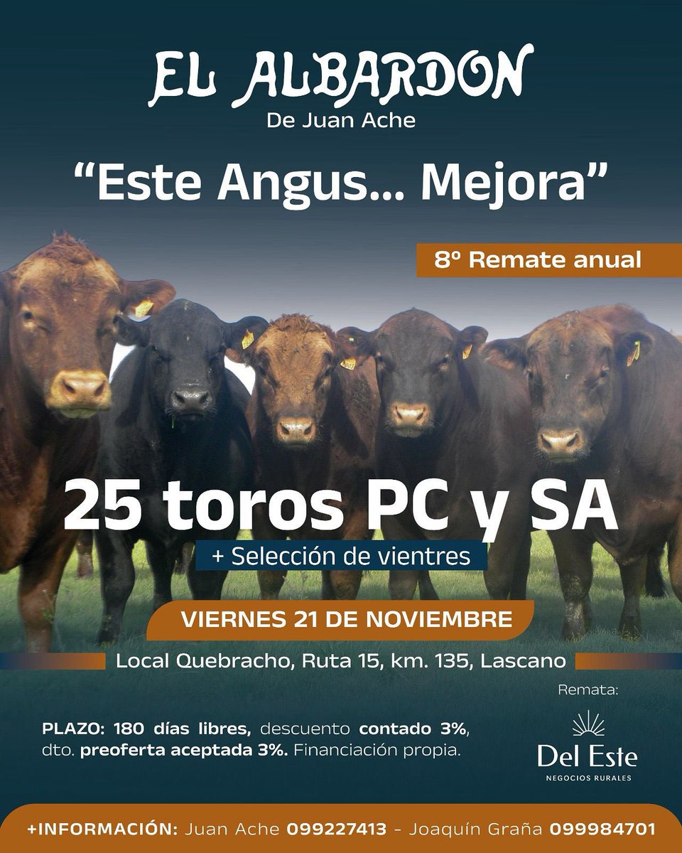 📣 Atención: Se viene el 8vo remate anaual - “𝗘𝘀𝘁𝗲 𝗔𝗻𝗴𝘂𝘀... 𝗠𝗲𝗷𝗼𝗿𝗮” de cabaña @el_albardon de Juan Ache.

🗓️ Viernes 21 de noviembre 
📍 Local Quebracho, ruta 15, km 135,5. Lascano, Rocha

☎️ Por consultas: 
099227413 | 099984701 | 098902772